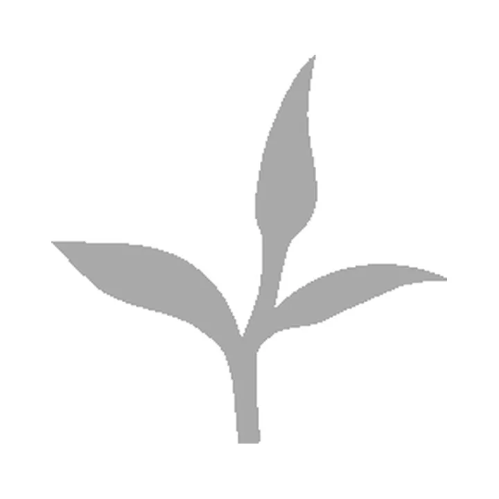 TeSelskabet logo